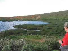 Easter Island; Rano Raraku