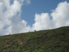 Easter Island; Rano Raraku