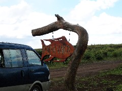 Easter Island; Papa Vaka