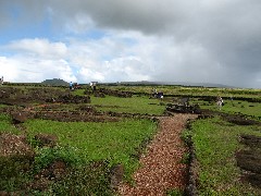 Easter Island; Papa Vaka