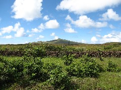 Easter Island; Papa Vaka