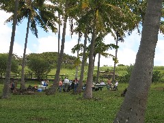 Easter Island; Anakena Beach