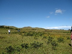 Easter Island; Ahu Akivi
