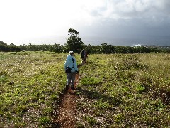 Easter Island; Orongo; Hike