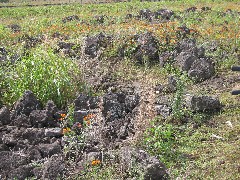 Easter Island; Elder Hostel Service Work; Our Cave