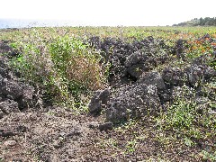 Easter Island; Elder Hostel Service Work; Our Cave