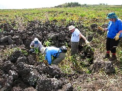 Ruth Bennett McDougal Dorrough; Marcia Blacklin; Ron Wise; Joan Mulholland; Easter Island; Elder Hostel Service Work; Our Cave