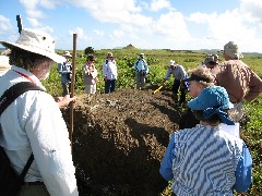 Easter Island; Elder Hostel Service Work; Moai