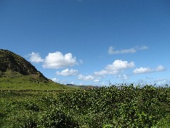 Easter Island; Elder Hostel Service Work; Moai