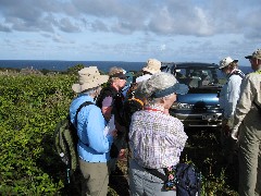 Easter Island; Elder Hostel Service Work