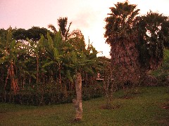 Easter Island; Hotel Otai