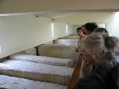 Trips; Egypt; Solar Boat