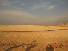 Trips; Egypt