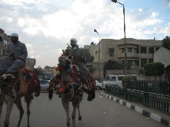 Trips; Egypt; Cairo; camels