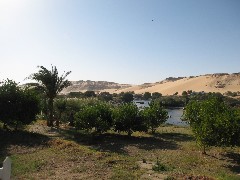 Trips; Egypt; Lunch Basma Outdoor Restaurant