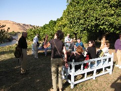 The Bule Team; Trips; Egypt; Lunch Basma Outdoor Restaurant