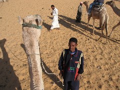 Dans Camel driver; Trips; Egypt; Camel Ride