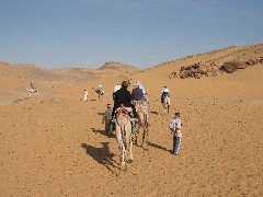 Trips; Egypt; Camel Ride