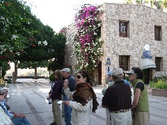 Djenane Batanouni; Trips; Egypt; Botanical Gardens
