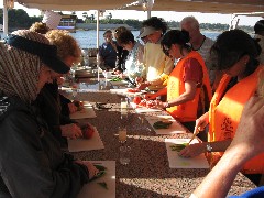Trips; Egypt; Nile River Boat Hator