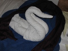 Trips; Egypt; Nile River Boat Hator; towel folding