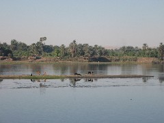 Trips; Egypt; Nile River Scenes