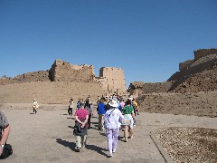Trips; Egypt; Edfu Temple Horus