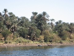 Trips; Egypt; Nile River from Esna Luxor