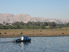 Trips; Egypt; Nile River from Esna Luxor