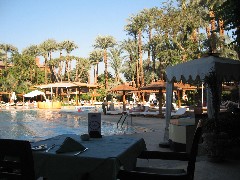 Trips; Egypt; New Winter Hotel Luxor