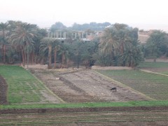 Trips; Egypt; Balloon Ride