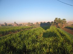 Trips; Egypt; Balloon Ride