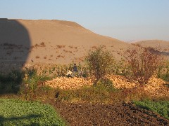 Trips; Egypt; Balloon Ride
