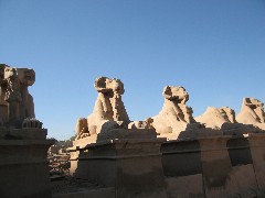 Trips; Egypt; Karnak Luxor Temples