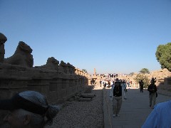 Trips; Egypt; Karnak Luxor Temples