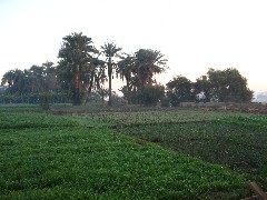 Trips; Egypt; Sunrise Farm Breakfast