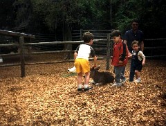 Ben Dorrough; Trips Florida 1989