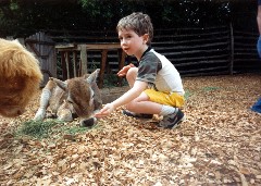 Ben Dorrough; zoo; florida