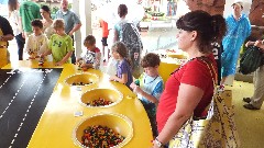 Lego Land; Downtown Disney;