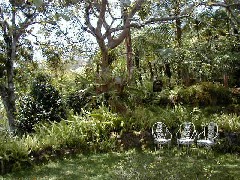 Candelaria Guatemala Trips