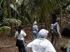 Cancuen Guatemala Trips Archeology