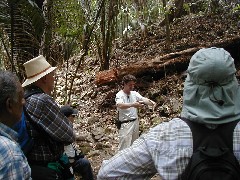 David Schele; Cancuen Guatemala Trips archeology