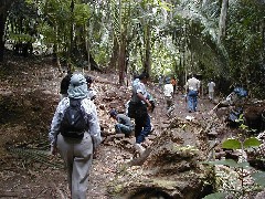 Cancuen Guatemala Trips Archeology