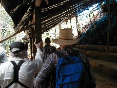 Cancuen Guatemala Trips Archeology