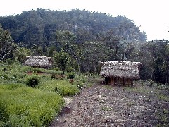Guatemala Trips thatched hut