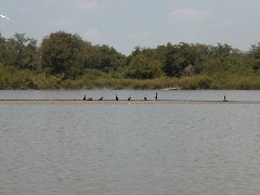 Pasion river; Guatemala Trips