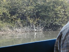 Aquateca Guatemala Trips Pasion River;