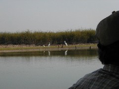 Aquateca Guatemala Trips Pasion River;