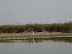 Aguateca Guatemala Trips Pasion River;