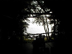 Passion River; Guatemala Trips